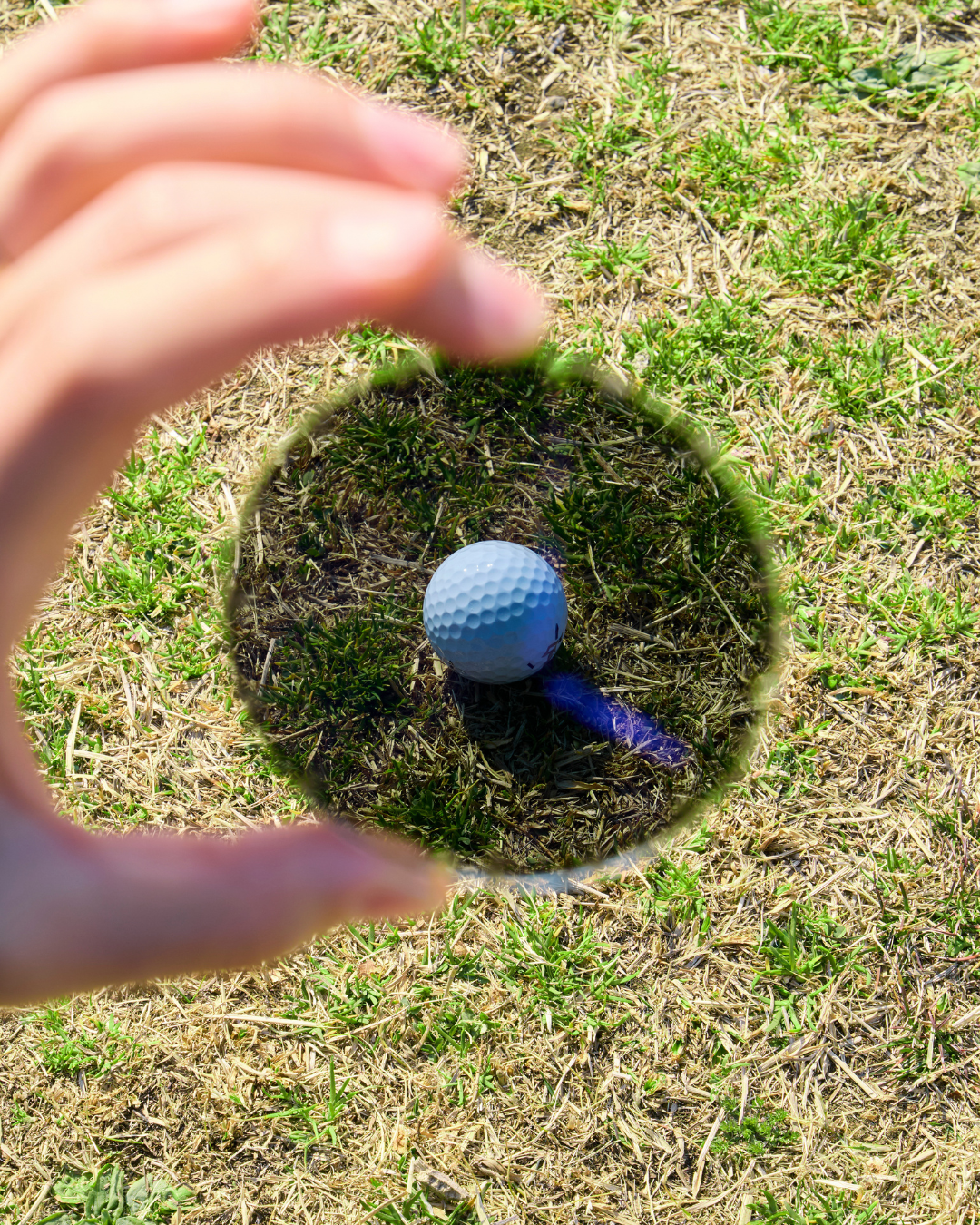 PGR-05S DEMI / GREEN POLA (偏光レンズ)