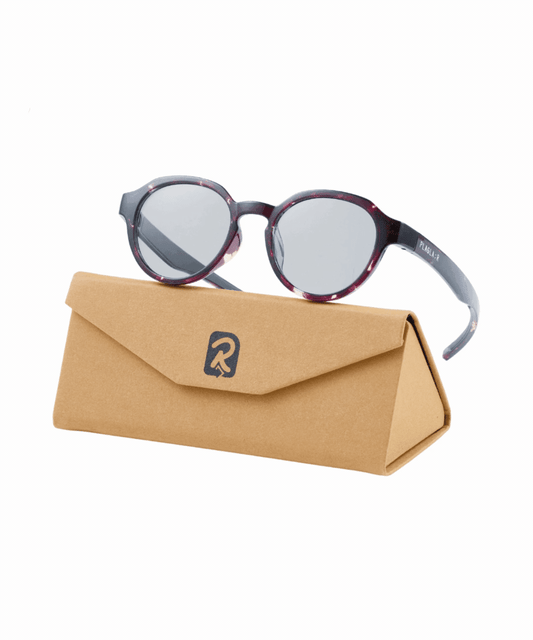 PGR-05S　DEMI / PHOTOCHROMIC - POLA (偏光調光レンズ)